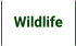 Wildlife