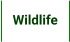 Wildlife