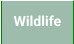 Wildlife